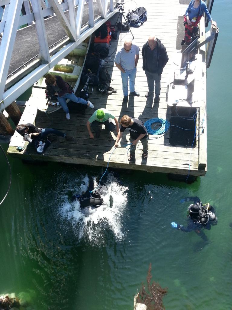LiveItearth's tweet photo. Mike Irvine in the water defending his thesis. @brinyseas @uvic http://t.co/IFQvz7vHFr