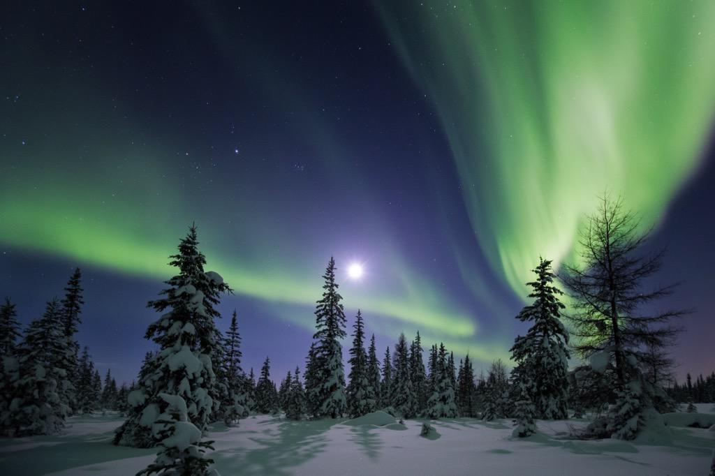AdamHillPhoto's tweet photo. Get ready for another #aurora storm on the 21st and 22nd. It's been a hell of a year! #NorthernLights http://t.co/w8ONPr4ssV
