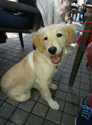 donnquite's tweet photo. şunun tatlılığına bakın (: http://t.co/027AiM1BYn