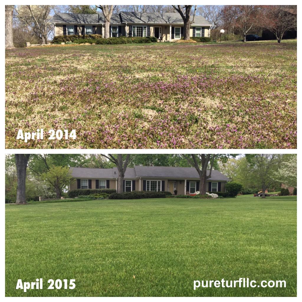 PureTurf's tweet photo. Another stellar before &amp; after. Premium products + excellent service = 12 month transformation. @Holganix #ATS http://t.co/IzSuqg0dVV