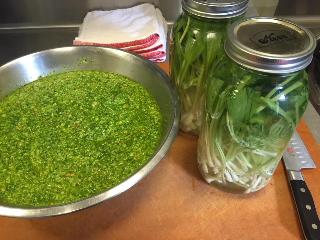 LockelandTable's tweet photo. Ramp pesto &amp; pickled ramps !!
#rampslut #preservationkitchen http://t.co/yskSkqlQoH