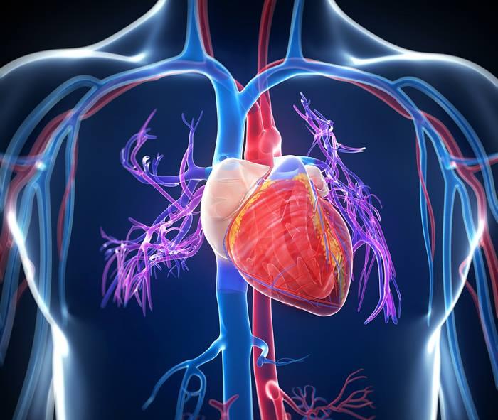 Cardio Check-Up - Take Care of Your Cardiovascular Health! emcmos.ru/en/profession/…
