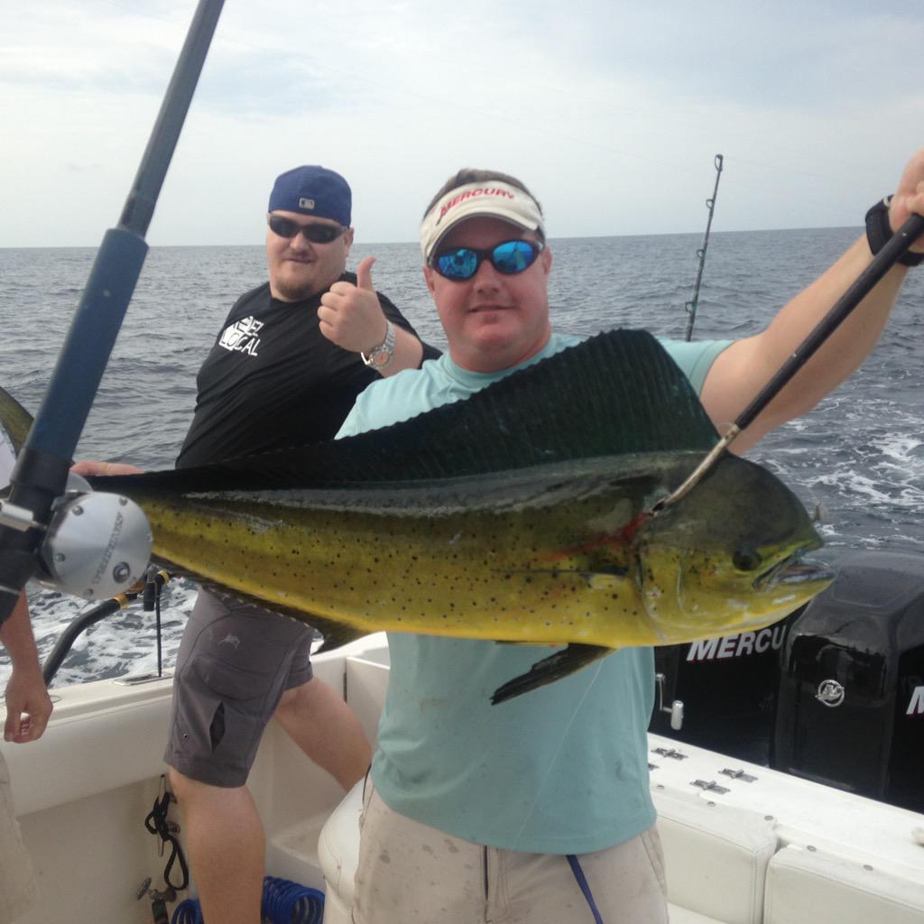 BamBamFishing's tweet photo. Couple mahi from yesterday. @MercuryMarine @jack51005 @VagabondFlyMag @FinalApproachFT  #meatshot @WickedTuna http://t.co/AeMHwj4UiK