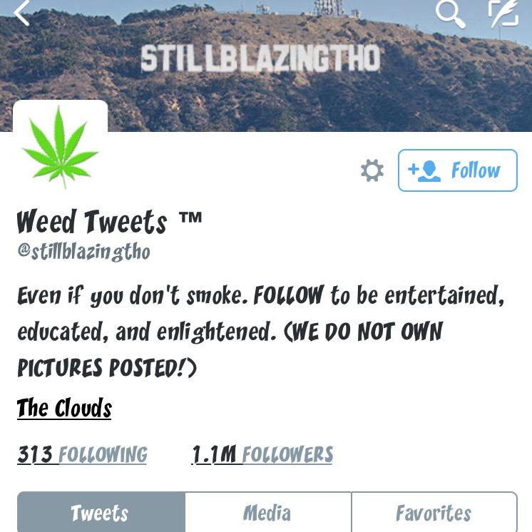 NotAStonerIf's tweet image. Following these's accounts.