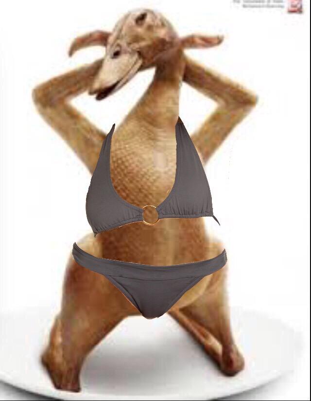 ChickenSex's tweet photo. Well hello there http://t.co/2bfxkBTpQ7