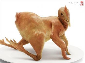 ChickenSex's tweet photo. Me last night http://t.co/t9iZkij1PB