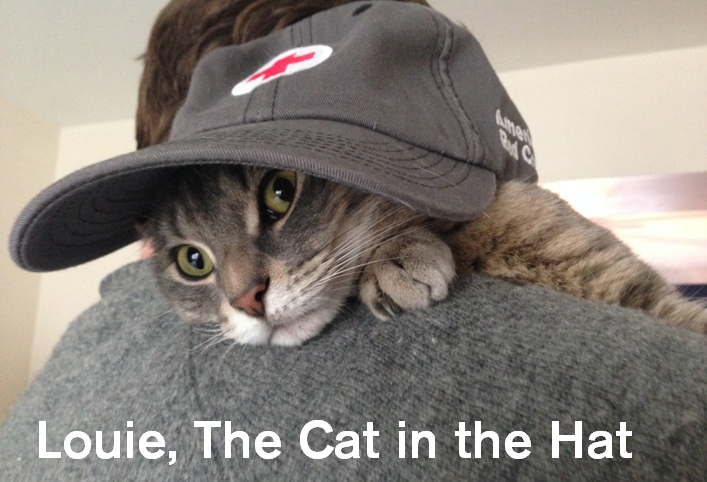 RedCross's tweet photo. Adorable photo alert! Red Crossers share adventures &amp; tips for Pet First Aid Awareness Month: http://t.co/lx9aazID7D http://t.co/IObsUCjftO
