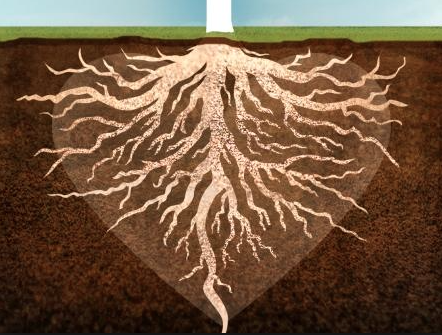 RonyReingold's tweet photo. Nourish the soil of your life, make it rich &amp; fertile, so that the tree of your truth will effortlessly grow. http://t.co/s3fSa4vHDC