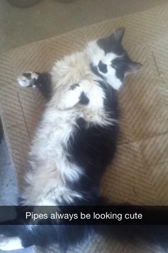GPeterson4's tweet photo. Everybody better be getting turnt today because it's Piper's first birthday! #ladykiller http://t.co/MGfmmTK2fE