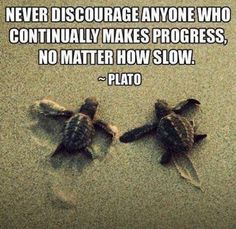 DallasPAFndn's tweet image. Everyone learns at their own rate. Always be encouraging! #encouragelearning #dallasfoundation