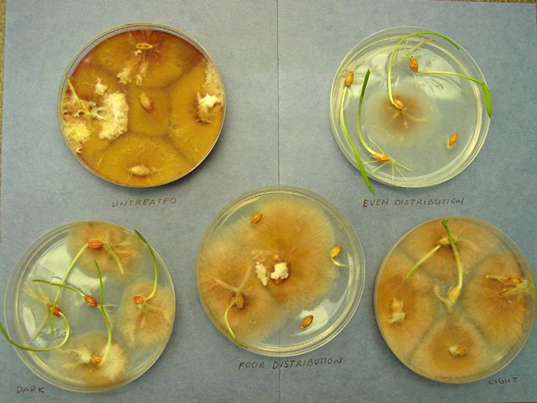 Bayer4CropsCA's tweet photo. Poor application will reduce the benefit of your seed treatment. #ProperApplication Questions? #AskBayerCrop http://t.co/yoXY7heCKe