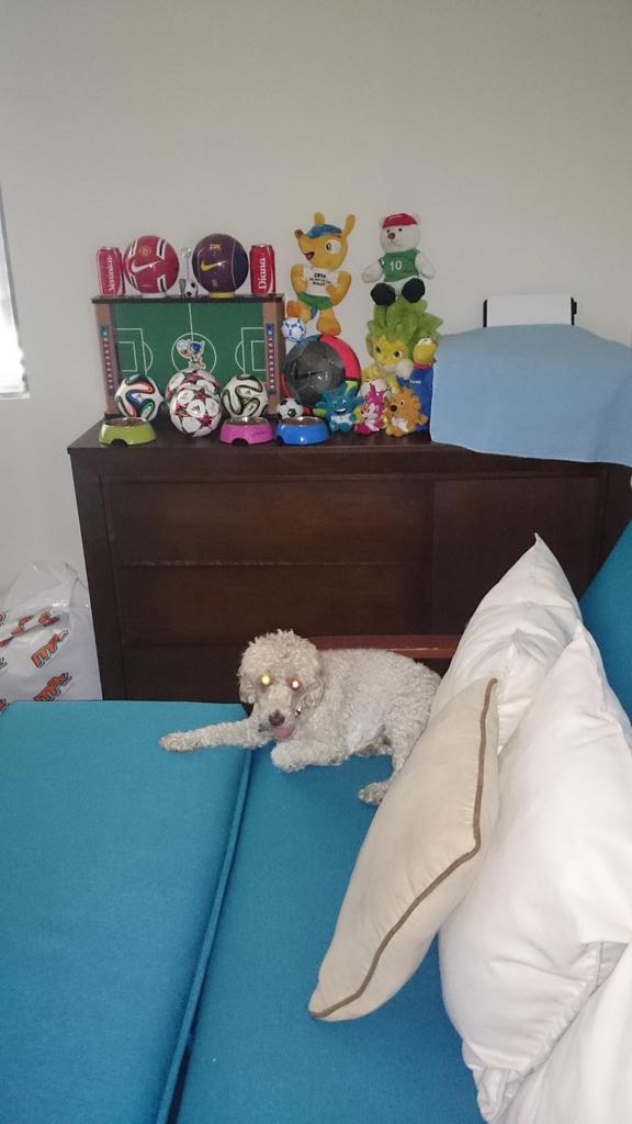 ivan estrella gomez tweet media