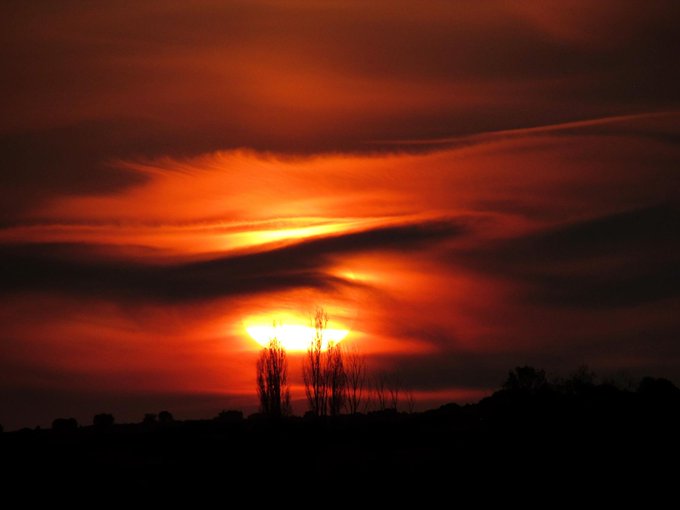 View image on Twitter