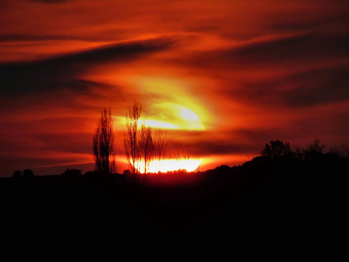 View image on Twitter