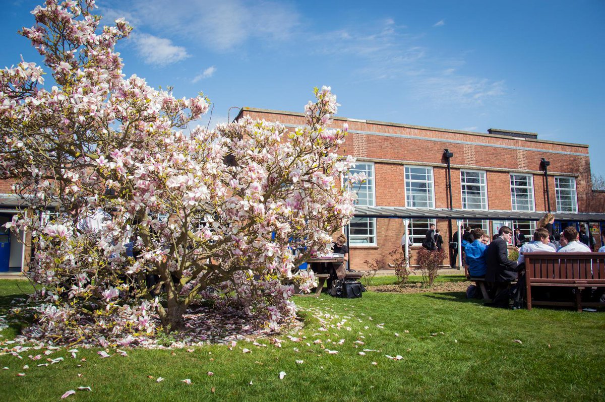 JasonBrown2K13's tweet photo. Spring @WyHighAcademy @WyHigh6th http://t.co/ZLSe9W5dyn