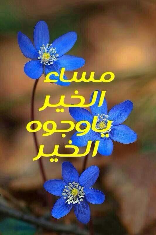 IAlhomoud's tweet photo. @alshamag 
والله فقدناك وسالنا عنك
وما بقى الا انعمم بالمخافر
اكيد تدري👍😊👐 http://t.co/99dT7K4Ru5