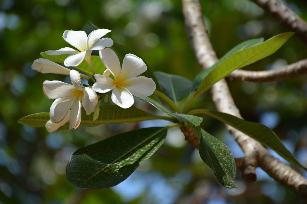LucidPractice's tweet photo. What is Asteya? - http://t.co/Tdsj9pI0da - #Beyou #Nonstealing #Peace http://t.co/0hFq7vUqoj