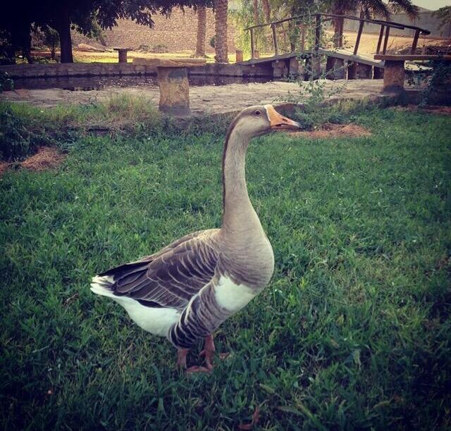 ReefCompound's tweet image. 