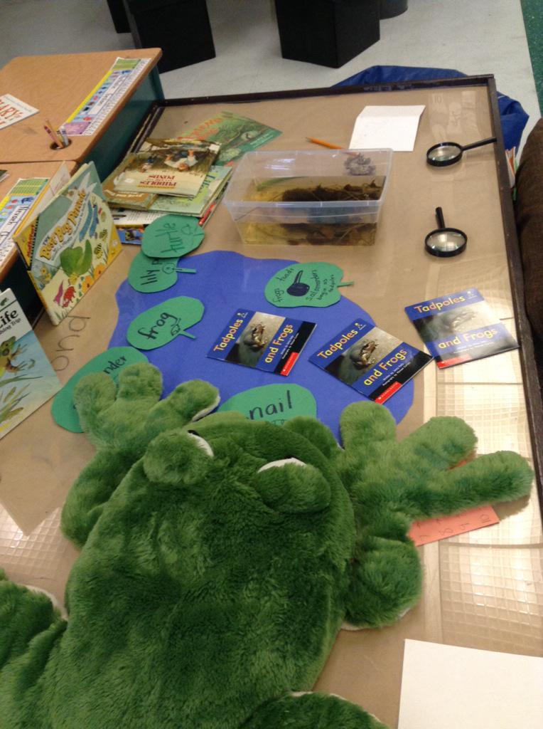 mrshammsclass's tweet photo. Loving our pond #inquiry #1stchat @StevensonElem http://t.co/PjKXBrVuwd