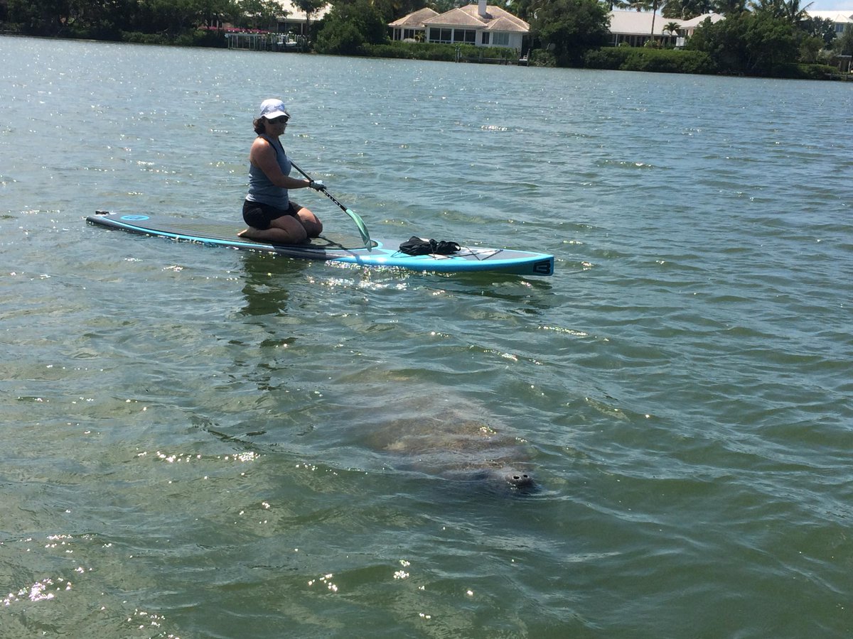 SUP Club Florida (florida_sup) Twitter