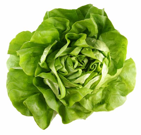 coachsmithworld's tweet photo. @christinaesolis @BeatriceDeAlva @_abbyhdz_ @TashaMarice_ You know, #thatgreenstuff http://t.co/NSJIblaqxd