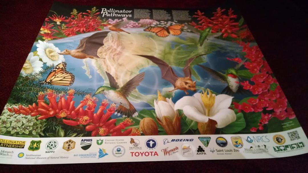 literaryfaerie's tweet photo. I <3 the exhibition hall! Free stuff from @USDA, incl a gorgeous pollinator poster! #earthdayconf @ECOalityMag http://t.co/sIP7olBK4t