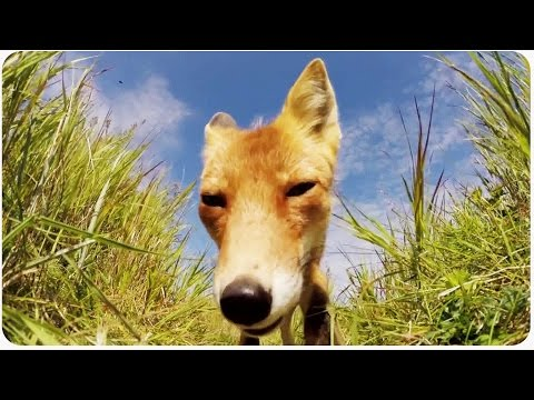 Squeebles tweet media