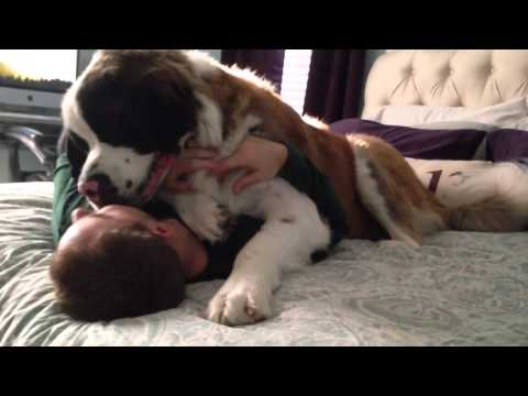 Squeebles tweet media