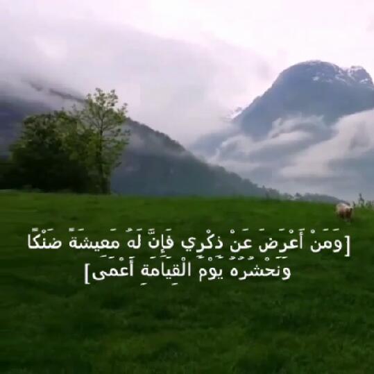 soubhanalah1's tweet photo. http://t.co/vMyI92u2MQ