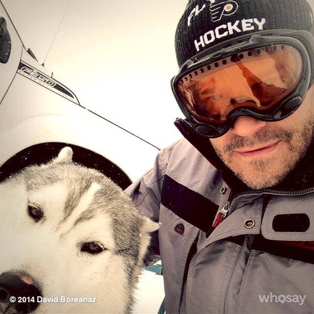 David Boreanaz tweet media