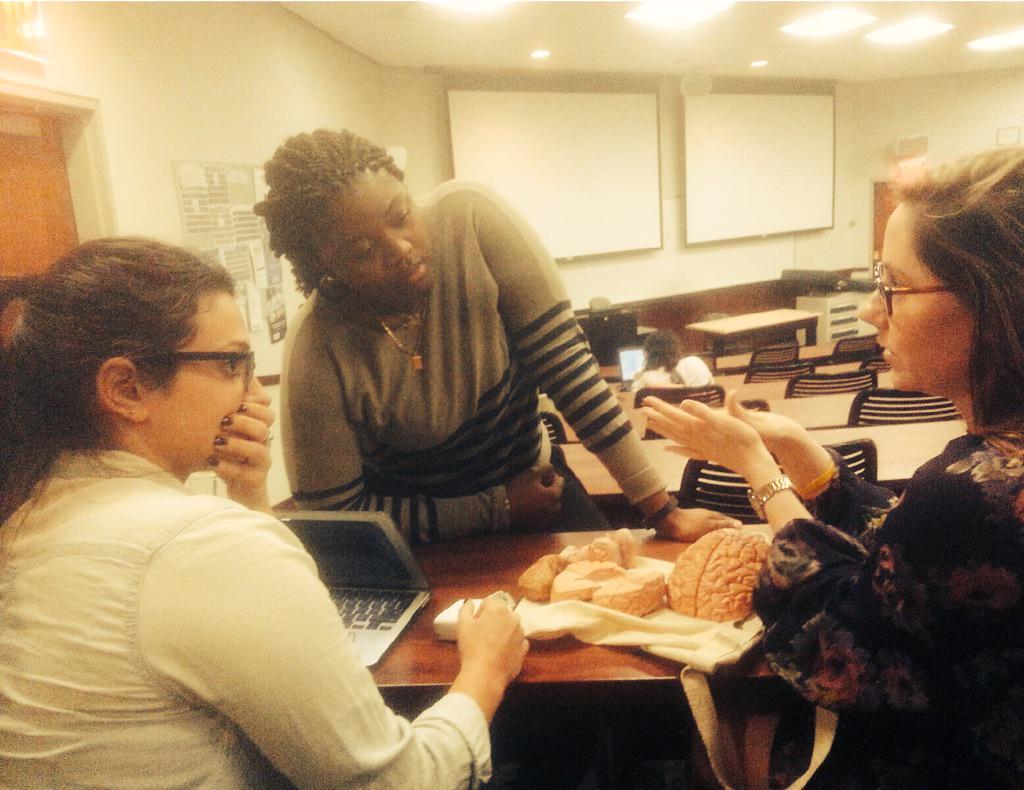 PaceLHHPA's tweet photo. #PAstudents Arielle, Jenny and Jenn review some neuroanatomy for their neurology exam on Thursday! 📚#PASchool #Neuro http://t.co/ZBfR1YnZup