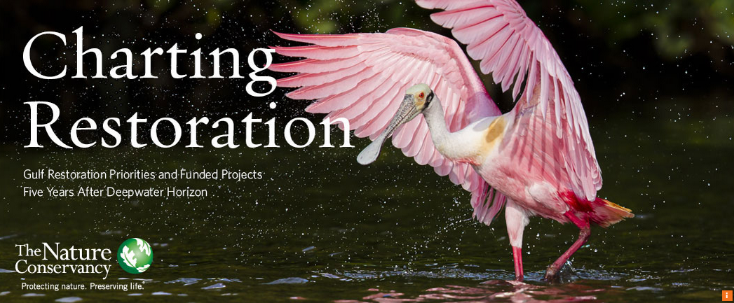 Christine Shepard tweet media