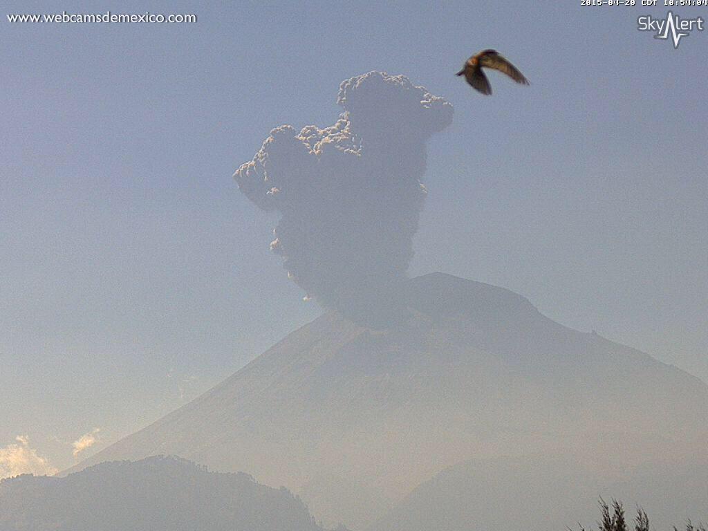 Enlace permanente de imagen incrustada