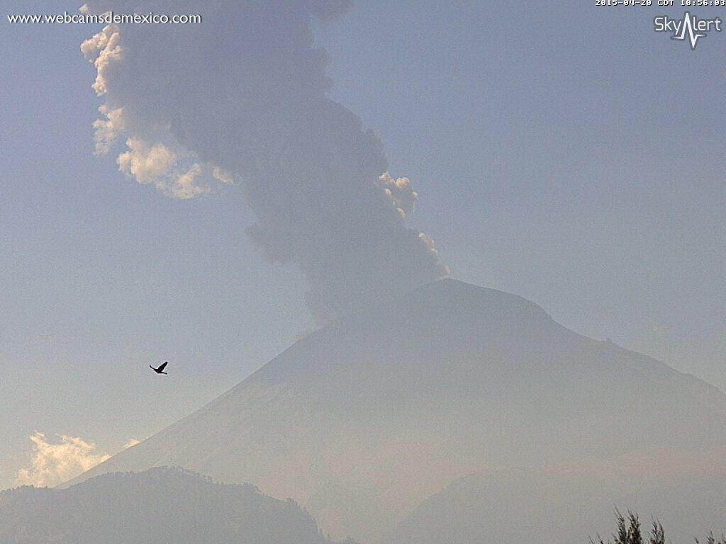 Enlace permanente de imagen incrustada