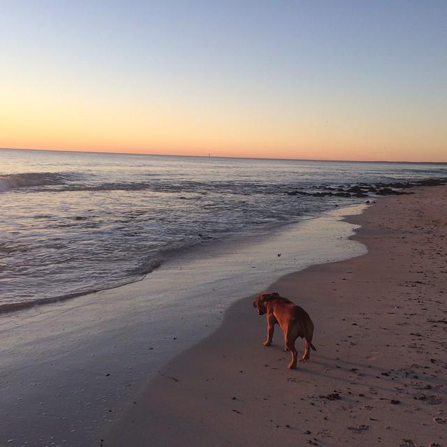 Gerogram's tweet photo. Geraldton your turned on another stunner #nofilter #geraldton #bambam by hannah_tartsandco http://t.co/e5oUtFuVsj… http://t.co/4iQ99DjSRf