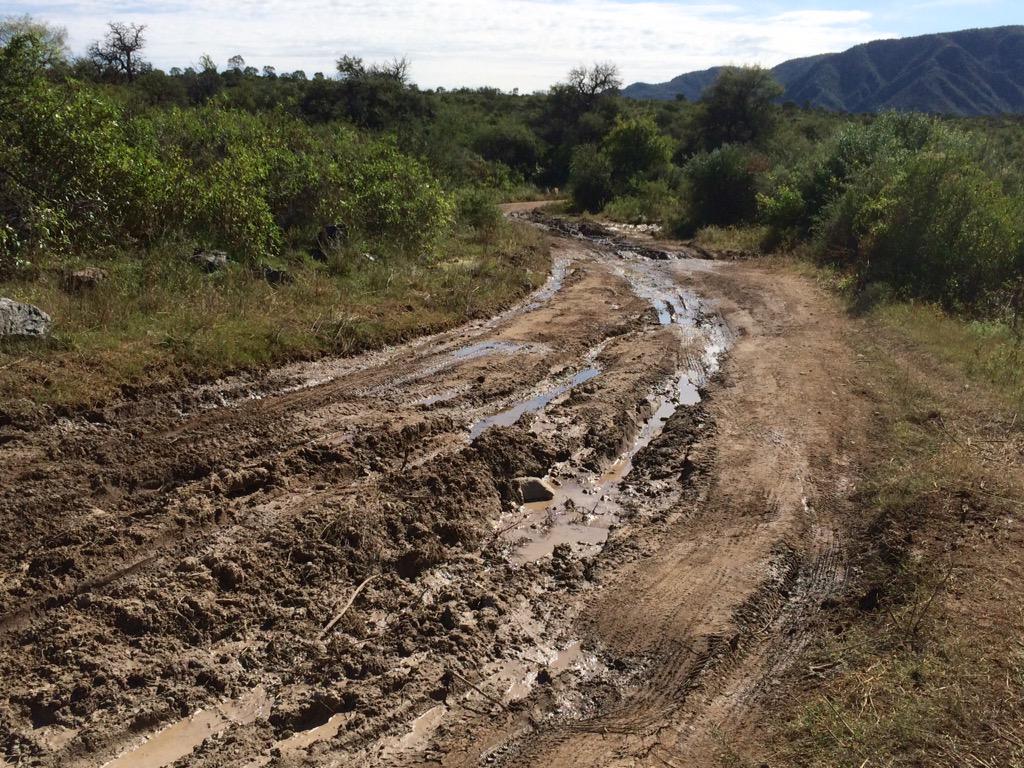 WRC: Xión Rallye Argentina [22-26 Abril] - Página 2 CDEJS7UWIAADnTD