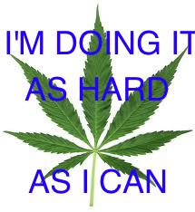 onlyastoner's tweet photo. happy 4:20! http://t.co/K3VGHsYZZS