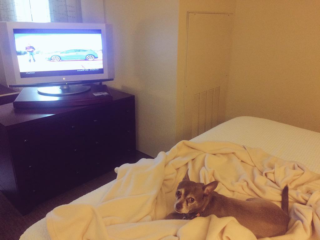AlfieTheBold's tweet photo. Just chillin' in the hotel room watching some #TopGear #greensborolife http://t.co/7UU24Qkivr