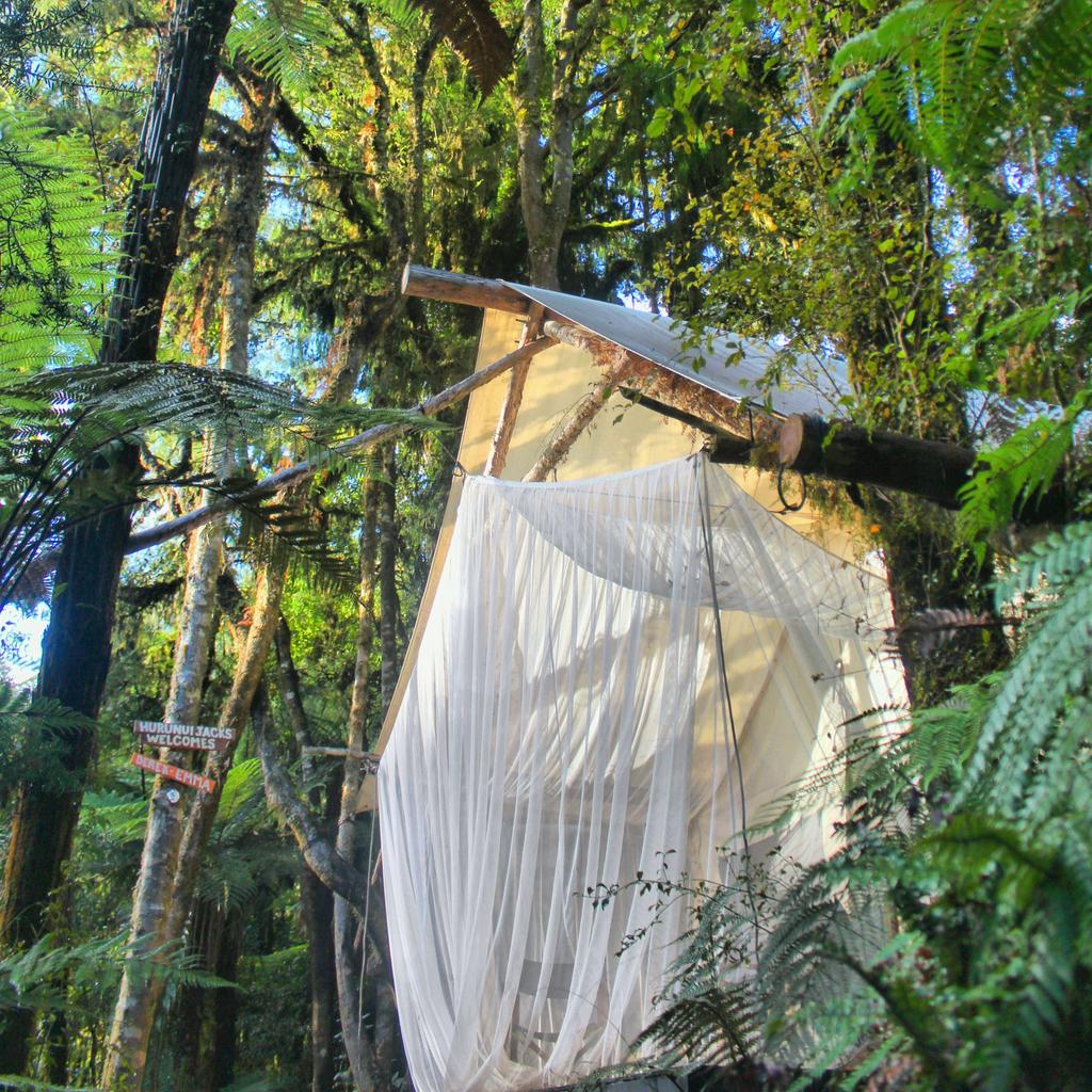 herlifeofadvent's tweet photo. Glamping at it's finest #HurunuiJacks. This magical @canopycamping retreat is hidden in the forest near Hokitika http://t.co/bywSnCAJ09