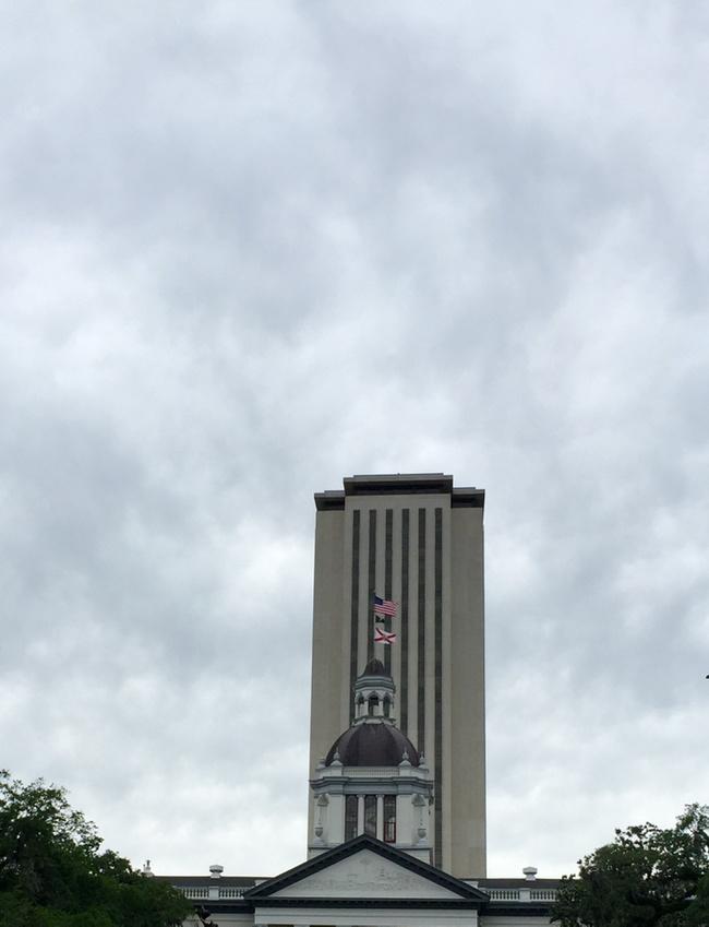 djmia00's tweet image. Day #49 #flapol #flsession