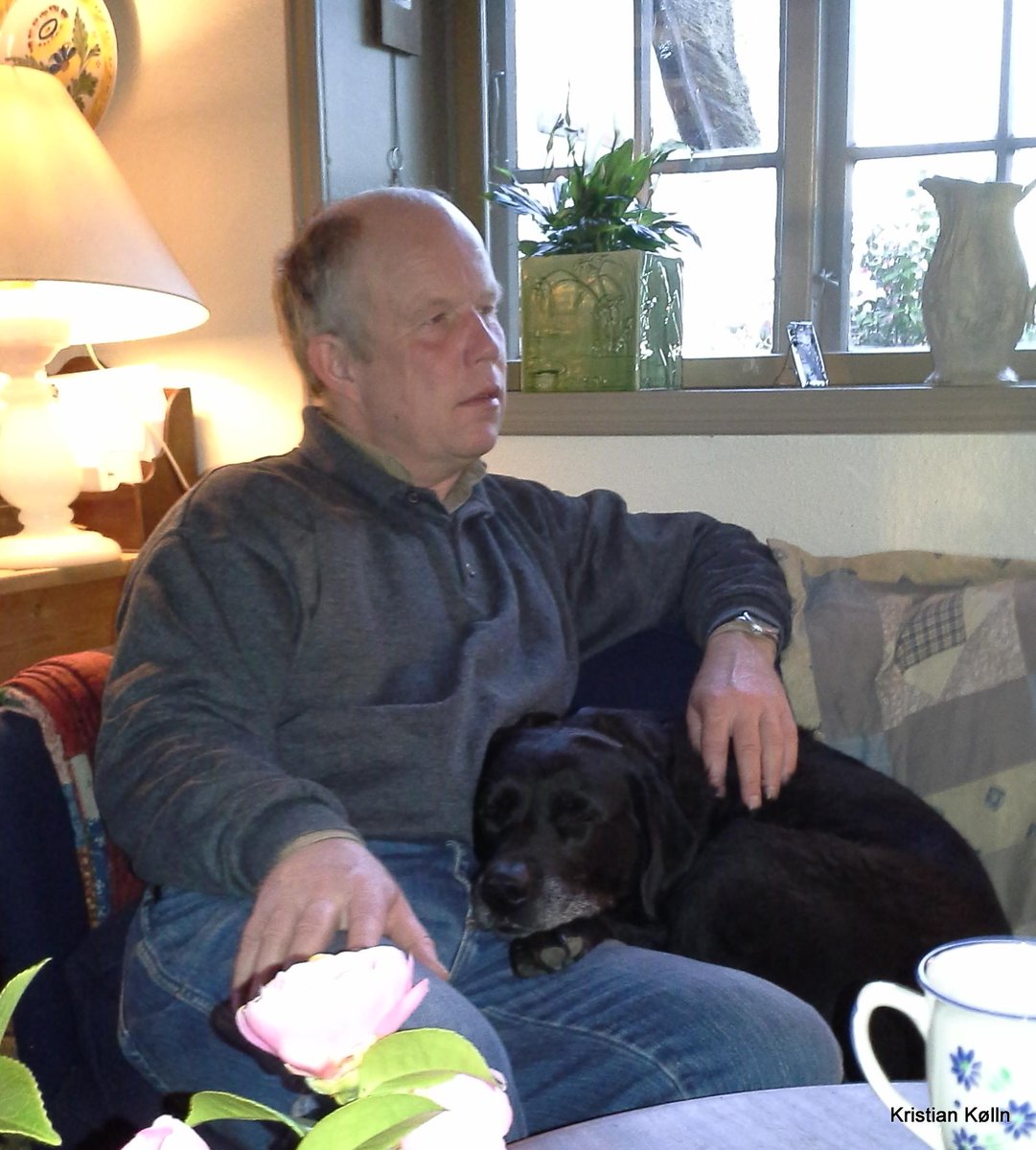 agronatur's tweet photo. @1jamiefoster I know what you mean #qualitytimeatthecouch #oldlabshavecertaintights http://t.co/NfsHN2lF9f