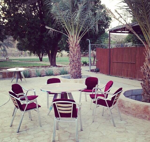 ReefCompound's tweet image. 