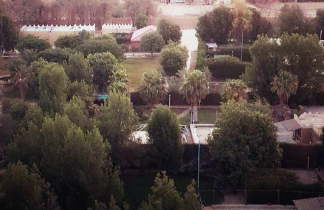 ReefCompound's tweet image. 