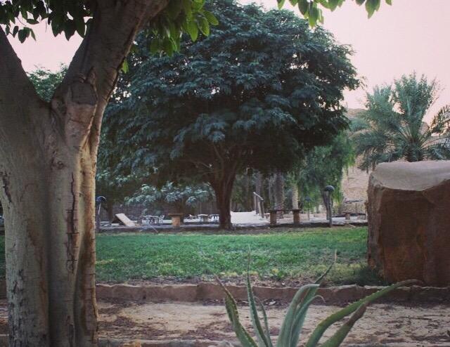 ReefCompound's tweet image. 