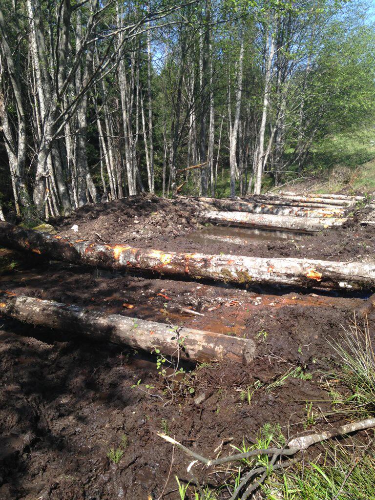 mountain_grind's tweet photo. Over under mud pit. Real mountain mud! #MountainGrind #OCR #SunshineCoastBC http://t.co/iUCveBpUTq