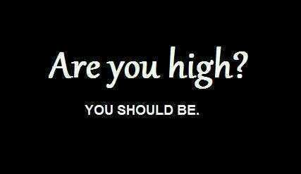 Be yourself 🐾🐈⬛🐈⬛🐈 tweet media