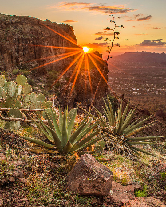 travelersbooks's tweet photo. #Interstate10 #roadtrip must-see #pitstop #2: #Phoenix #Arizona! @AZWBrewingCo See the other 9 http://t.co/GC0EFB8wVe http://t.co/NVfbV3lVWU