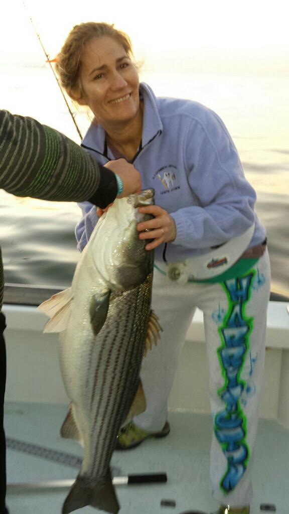 My Girl Charters tweet media