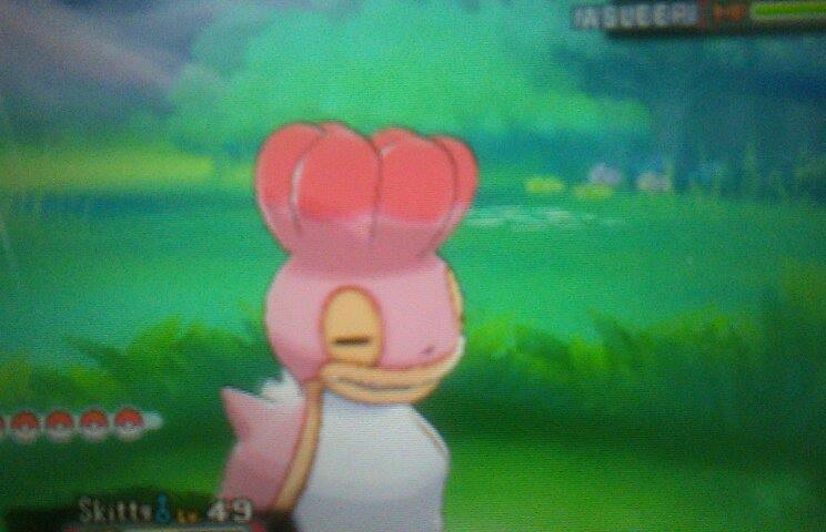 Bo0gie2nite's tweet photo. #ShinyShellos after 180 #DexNav encouters. #Pokemon #PokemonORAS http://t.co/G5h4q4HcBJ