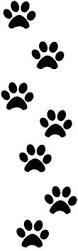 CocoGrandePup's tweet photo. Autographs😂😂🐶 http://t.co/hMEGe7TkHy